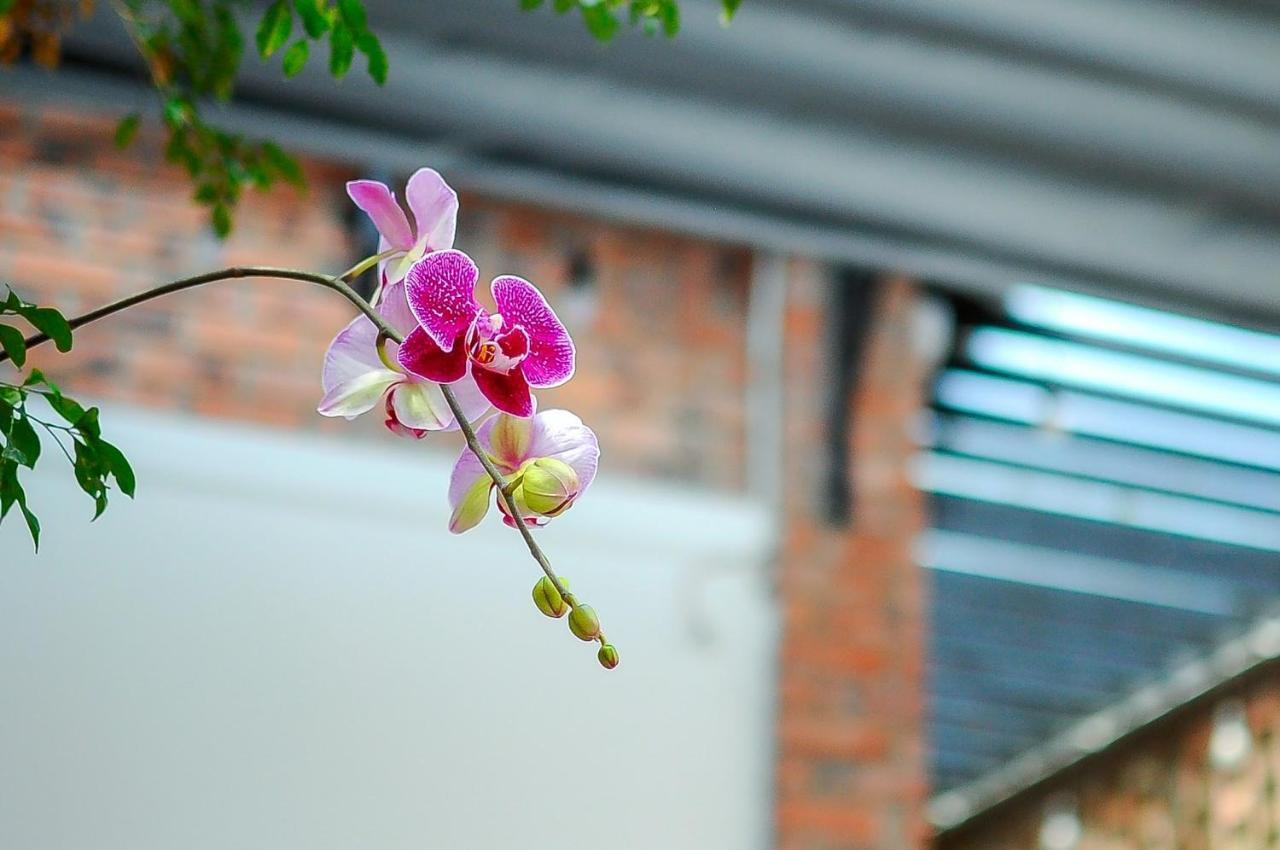 Chi Homestay #4 Hue Dış mekan fotoğraf